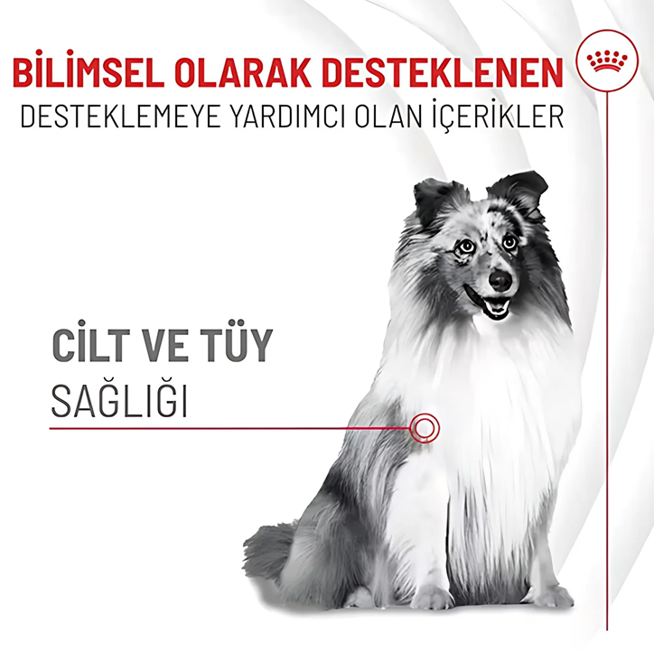 ROYAL CANİN DOG SKIN & COAT ADULT SUP. 240 GR*5